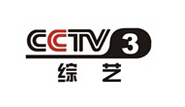 2015年CCTV-3綜藝頻道廣告方案